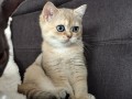https://www.waibe.fr/sites/delphine59h/medias/images/__HIDDEN__galerie_4/IMG_20260908_143452.jpg
