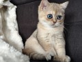 https://www.waibe.fr/sites/delphine59h/medias/images/__HIDDEN__galerie_4/IMG_20260908_143458.jpg