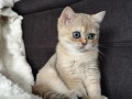 https://www.waibe.fr/sites/delphine59h/medias/images/__HIDDEN__galerie_4/IMG_20260908_143459.jpg