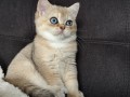 https://www.waibe.fr/sites/delphine59h/medias/images/__HIDDEN__galerie_4/IMG_20260908_143513.jpg