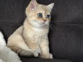 https://www.waibe.fr/sites/delphine59h/medias/images/__HIDDEN__galerie_4/IMG_20260908_143533.jpg