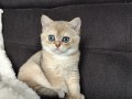 https://www.waibe.fr/sites/delphine59h/medias/images/__HIDDEN__galerie_4/IMG_20260908_143538.jpg