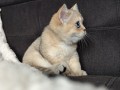 https://www.waibe.fr/sites/delphine59h/medias/images/__HIDDEN__galerie_4/IMG_20260908_143556.jpg