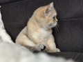 https://www.waibe.fr/sites/delphine59h/medias/images/__HIDDEN__galerie_4/IMG_20260908_143600.jpg