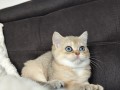 https://www.waibe.fr/sites/delphine59h/medias/images/__HIDDEN__galerie_4/IMG_20260908_143614.jpg