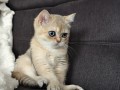 https://www.waibe.fr/sites/delphine59h/medias/images/__HIDDEN__galerie_4/IMG_20260908_143629.jpg