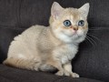 https://www.waibe.fr/sites/delphine59h/medias/images/__HIDDEN__galerie_4/IMG_20260908_143656.jpg
