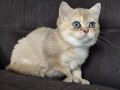 https://www.waibe.fr/sites/delphine59h/medias/images/__HIDDEN__galerie_4/IMG_20260908_143657.jpg