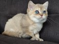 https://www.waibe.fr/sites/delphine59h/medias/images/__HIDDEN__galerie_4/IMG_20260908_143659.jpg