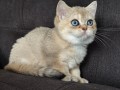 https://www.waibe.fr/sites/delphine59h/medias/images/__HIDDEN__galerie_4/IMG_20260908_143700.jpg