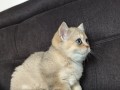 https://www.waibe.fr/sites/delphine59h/medias/images/__HIDDEN__galerie_4/IMG_20260908_143708.jpg