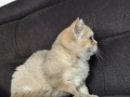 https://www.waibe.fr/sites/delphine59h/medias/images/__HIDDEN__galerie_4/IMG_20260908_143710.jpg