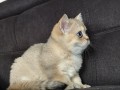 https://www.waibe.fr/sites/delphine59h/medias/images/__HIDDEN__galerie_4/IMG_20260908_143712.jpg