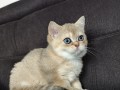 https://www.waibe.fr/sites/delphine59h/medias/images/__HIDDEN__galerie_4/IMG_20260908_143714.jpg