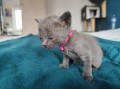 https://www.waibe.fr/sites/delphine59h/medias/images/__HIDDEN__galerie_5/IMG_20250423_144912.jpg