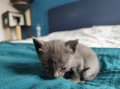 https://www.waibe.fr/sites/delphine59h/medias/images/__HIDDEN__galerie_5/IMG_20250423_144928.jpg