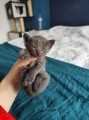 https://www.waibe.fr/sites/delphine59h/medias/images/__HIDDEN__galerie_5/IMG_20250423_145002.jpg