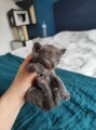 https://www.waibe.fr/sites/delphine59h/medias/images/__HIDDEN__galerie_5/IMG_20250423_145007.jpg