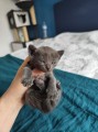 https://www.waibe.fr/sites/delphine59h/medias/images/__HIDDEN__galerie_5/IMG_20250423_145010.jpg