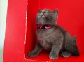 https://www.waibe.fr/sites/delphine59h/medias/images/__HIDDEN__galerie_5/IMG_20250609_165418.jpg