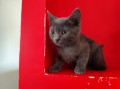 https://www.waibe.fr/sites/delphine59h/medias/images/__HIDDEN__galerie_5/IMG_20250609_165454.jpg