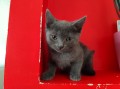 https://www.waibe.fr/sites/delphine59h/medias/images/__HIDDEN__galerie_5/IMG_20250609_165456.jpg