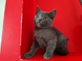 https://www.waibe.fr/sites/delphine59h/medias/images/__HIDDEN__galerie_5/IMG_20250609_165555.jpg