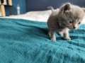 https://www.waibe.fr/sites/delphine59h/medias/images/__HIDDEN__galerie_6/IMG_20250423_145616.jpg