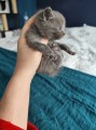 https://www.waibe.fr/sites/delphine59h/medias/images/__HIDDEN__galerie_6/IMG_20250423_145623.jpg
