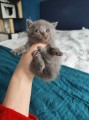 https://www.waibe.fr/sites/delphine59h/medias/images/__HIDDEN__galerie_6/IMG_20250423_145627.jpg