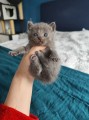https://www.waibe.fr/sites/delphine59h/medias/images/__HIDDEN__galerie_6/IMG_20250423_145630.jpg