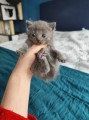 https://www.waibe.fr/sites/delphine59h/medias/images/__HIDDEN__galerie_6/IMG_20250423_145631.jpg