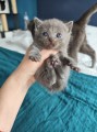 https://www.waibe.fr/sites/delphine59h/medias/images/__HIDDEN__galerie_6/IMG_20250423_145640.jpg