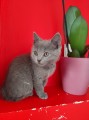 https://www.waibe.fr/sites/delphine59h/medias/images/__HIDDEN__galerie_6/IMG_20250609_164139.jpg