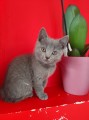 https://www.waibe.fr/sites/delphine59h/medias/images/__HIDDEN__galerie_6/IMG_20250609_164142.jpg