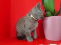 https://www.waibe.fr/sites/delphine59h/medias/images/__HIDDEN__galerie_6/IMG_20250609_164155.jpg