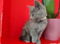 https://www.waibe.fr/sites/delphine59h/medias/images/__HIDDEN__galerie_6/IMG_20250609_164213.jpg