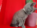 https://www.waibe.fr/sites/delphine59h/medias/images/__HIDDEN__galerie_6/IMG_20250609_164219.jpg