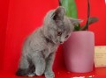 https://www.waibe.fr/sites/delphine59h/medias/images/__HIDDEN__galerie_6/IMG_20250609_164221.jpg