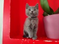 https://www.waibe.fr/sites/delphine59h/medias/images/__HIDDEN__galerie_6/IMG_20250609_164222.jpg