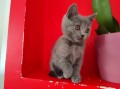 https://www.waibe.fr/sites/delphine59h/medias/images/__HIDDEN__galerie_6/IMG_20250609_164226_1.jpg