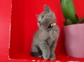 https://www.waibe.fr/sites/delphine59h/medias/images/__HIDDEN__galerie_6/IMG_20250609_164230.jpg