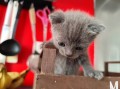 https://www.waibe.fr/sites/delphine59h/medias/images/__HIDDEN__galerie_6/IMG_20251002_172914.jpg