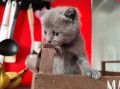 https://www.waibe.fr/sites/delphine59h/medias/images/__HIDDEN__galerie_6/IMG_20251002_172915.jpg