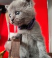 https://www.waibe.fr/sites/delphine59h/medias/images/__HIDDEN__galerie_6/IMG_20251002_174950.jpg