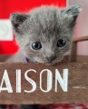 https://www.waibe.fr/sites/delphine59h/medias/images/__HIDDEN__galerie_6/IMG_20251002_175026.jpg