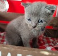https://www.waibe.fr/sites/delphine59h/medias/images/__HIDDEN__galerie_6/IMG_20251002_175107.jpg