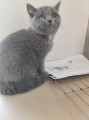 https://www.waibe.fr/sites/delphine59h/medias/images/__HIDDEN__galerie_6/IMG_20260424_161010.jpg