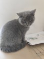 https://www.waibe.fr/sites/delphine59h/medias/images/__HIDDEN__galerie_6/IMG_20260424_161011.jpg
