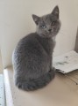 https://www.waibe.fr/sites/delphine59h/medias/images/__HIDDEN__galerie_6/IMG_20260424_161026.jpg